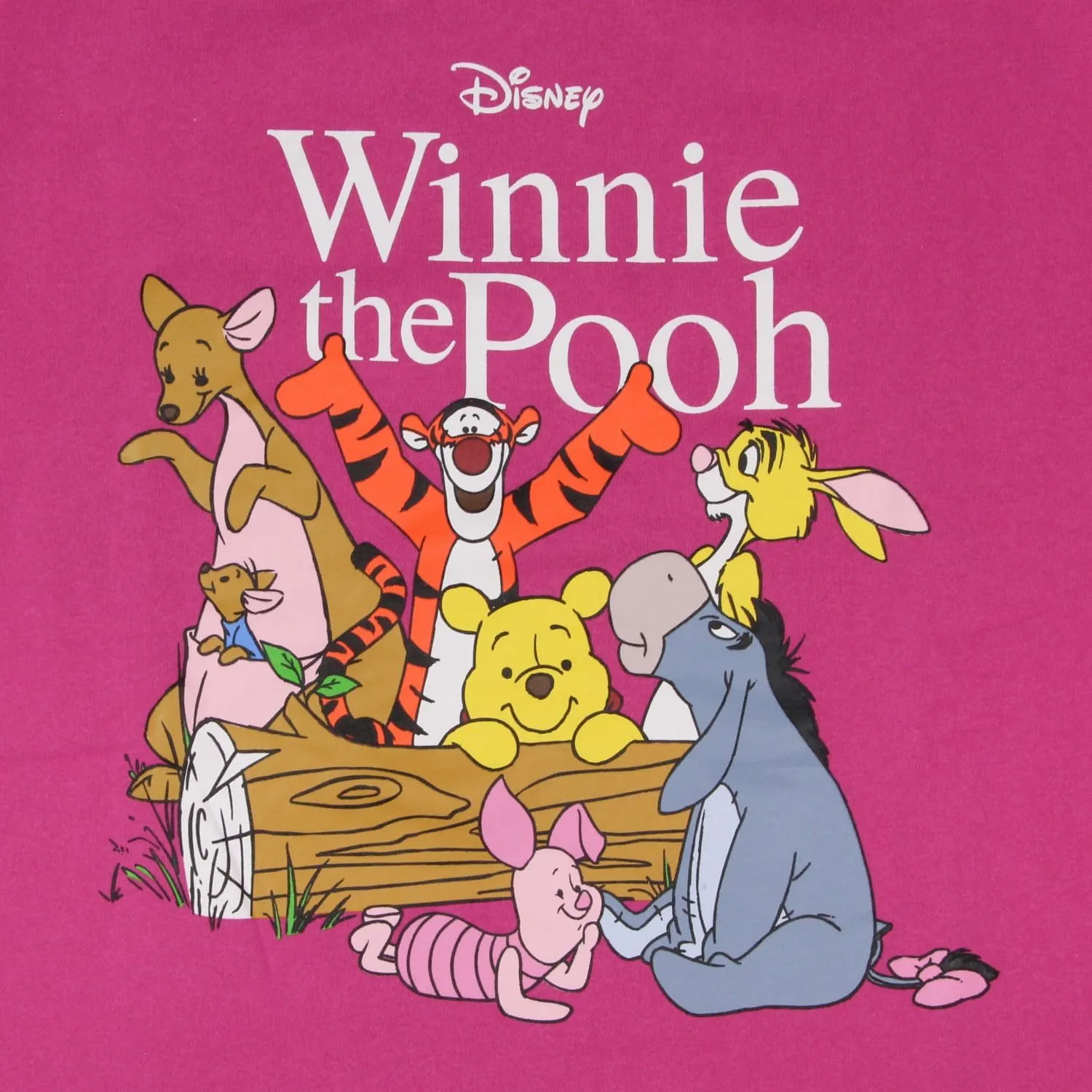 Disney Women's Winnie The Pooh And Friends Oversized Crewneck Pullover Adult Sweatshirt