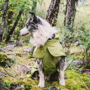 Small Waterproof Coats for Dogs